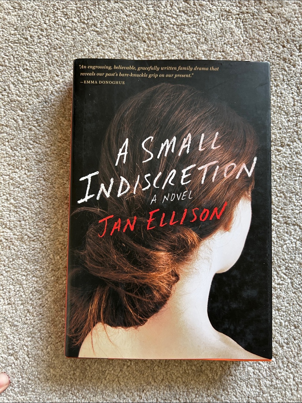 4 for 25$ 📚 A Small Indiscretion- Jan Ellison